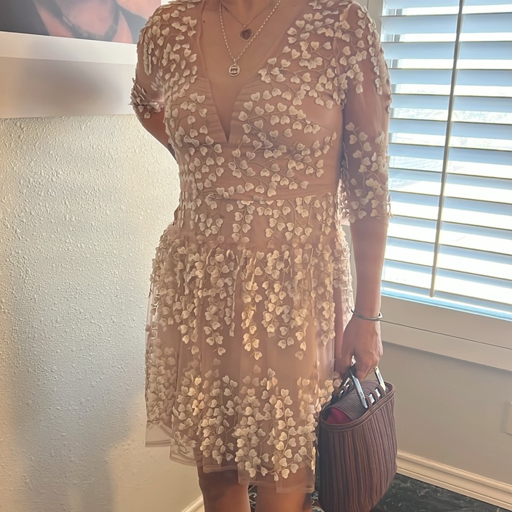 BCBGMaxAzria Floral Embroidered Appliqué A-Line Dress Bare Pink 12